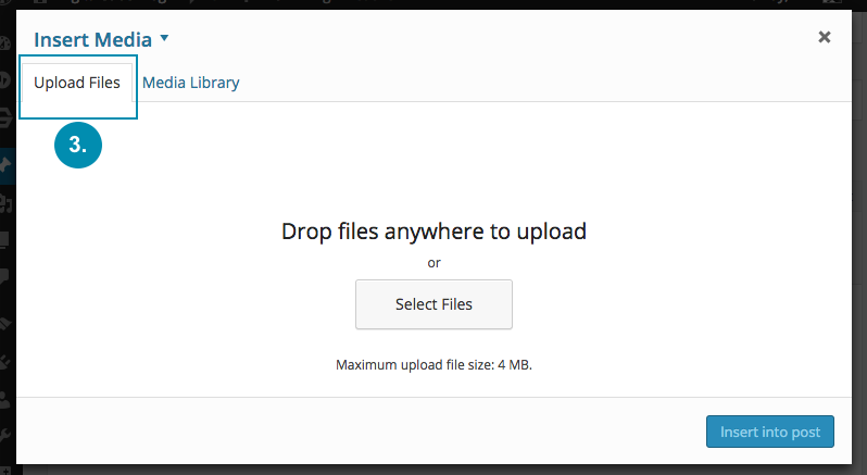 Upload Files